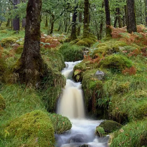 order a bottle of ARIUNDLE Gin - Image 7